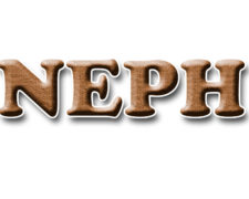 NEPH – Núcleo de Estudos e Pesquisas Históricas: Memória, História, Cultura e Cidade