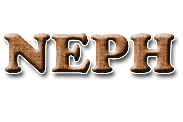 NEPH – Núcleo de Estudos e Pesquisas Históricas: Memória, História, Cultura e Cidade