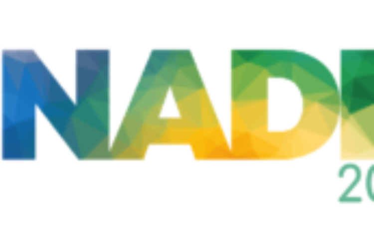 ENADE 2018: a aprendizagem baseada em problemas