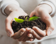 Tecnologia em Gestão Ambiental