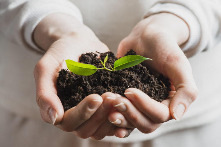 Tecnologia em Gestão Ambiental
