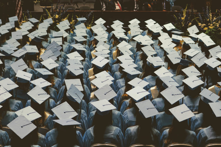Confira a diferença entre faculdade, universidade e centro universitário