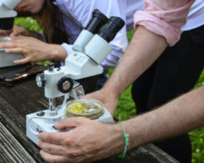 Onde estudar Biologia com a nota do ENEM?