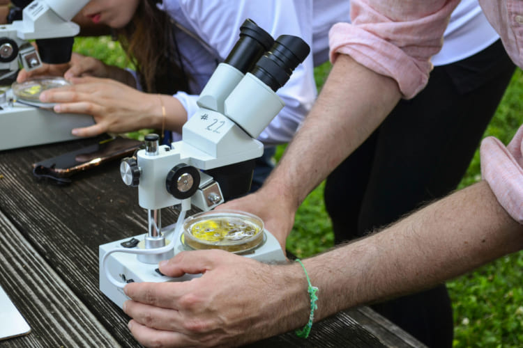 Onde estudar Biologia com a nota do ENEM?