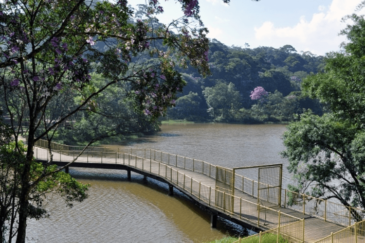 Parque Natural Municipal do Pedroso é um dos melhores pontos turísticos de Santo André