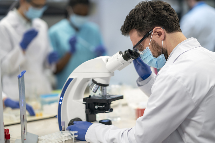 Biomedicina: o que é, o que estuda e tudo sobre o curso