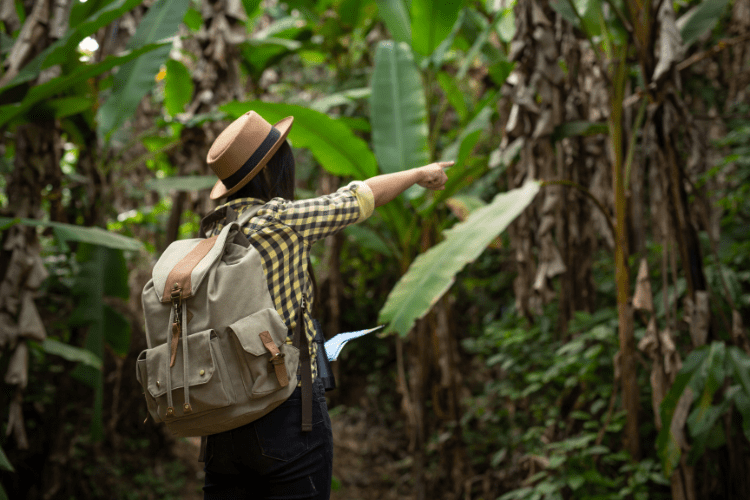 Ecoturismo é uma das áreas da Biologia para seguir carreira