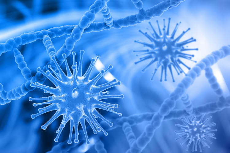 Confira como é a matriz curricular do curso de Biomedicina