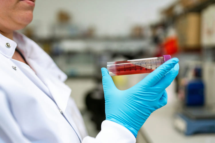 Você está visualizando atualmente Onde estudar Biomedicina com a nota do ENEM?