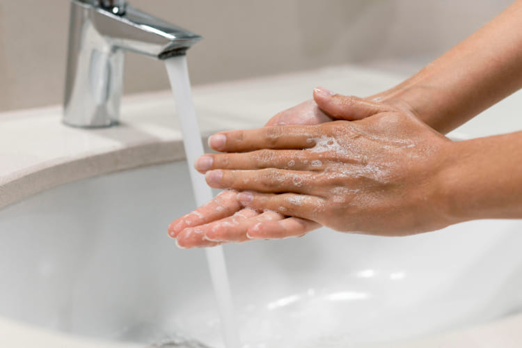 Descubra como prevenir a contaminação por E coli