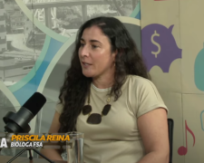 Gripe aviária no Brasil: Entenda o que você precisa saber