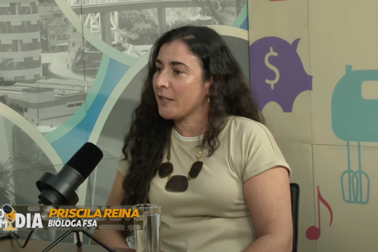 Gripe aviária no Brasil: Entenda o que você precisa saber