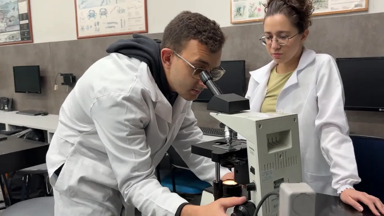 Aluno observando uma lâmina ao microscópio no laboratório de Ciências Biológicas