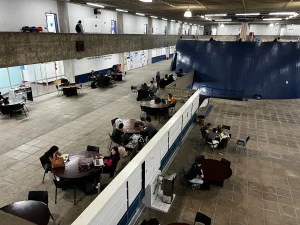 como descobrir sua vocação profissional