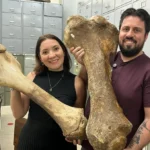 Pré-história do Brasil: documentário é produzido por professores da FSA