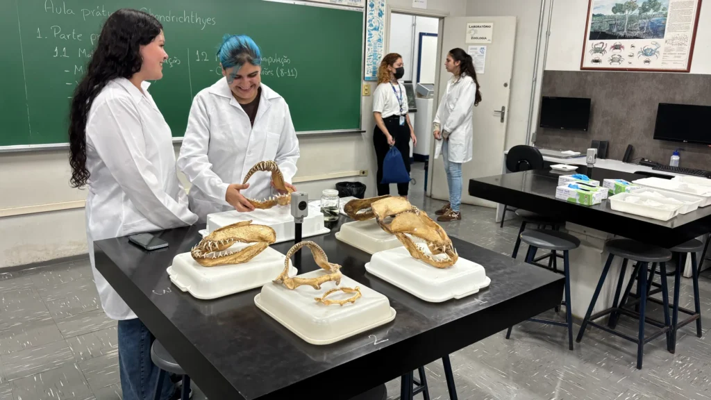 Leia mais sobre o artigo Como conseguir estágio na faculdade e iniciar sua carreira