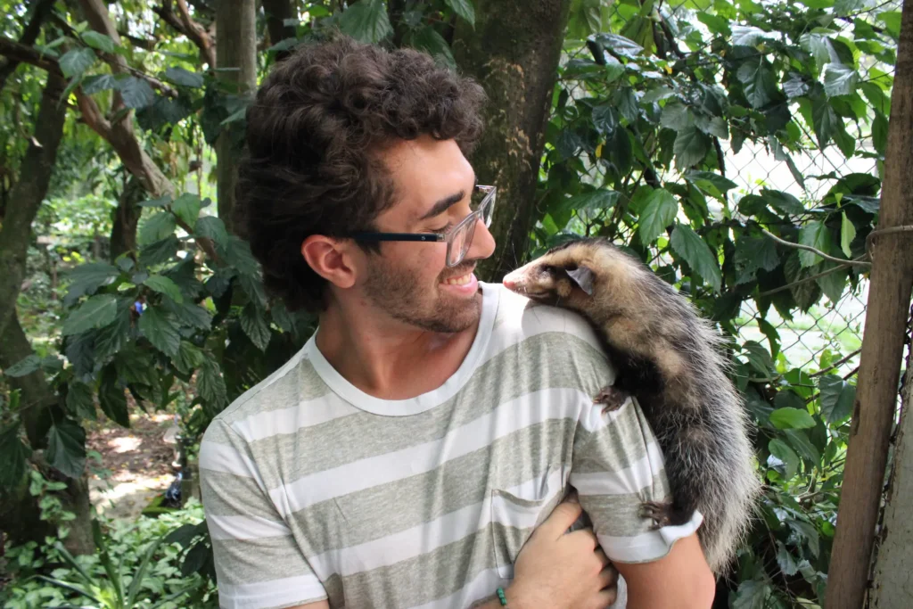Leia mais sobre o artigo 5 hábitos dos animais que mostram como a natureza é fascinante