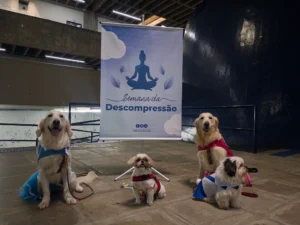 sono e memória