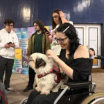 Acessibilidade na faculdade: apoios e inclusão no ensino superior
